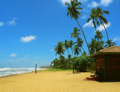 Остров Шри-Ланка: экзотический отдых на любой вкус